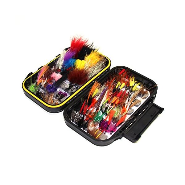 Croch-100pcs-120pcs-Fly-Fishing-Dry-Flies-Wet-Flies-Assortment-Kit-with-Waterproof-Fly-Box-for-Trout-Fishing