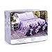 JML Plush Blanket King Size (90