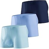 Evankin Mens Ice Silk Underwear with Bulge Pouch Breathable Cool Boxer Briefs Ultra-thin Stretch Boxers