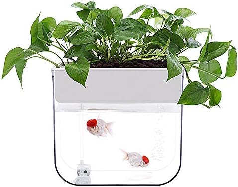 屋内魚と野菜の共生植物 自動散水植木鉢 生態学的なプラスチック水槽