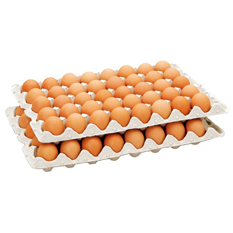 卵 産直 厳選赤玉大 80個入り 破卵保証10個含む 岩田養鶏場 岩田のおいしい卵 榛名 榛東村 【ご注文後のキャンセル不可】商品画像