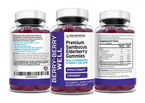 Premium Fresh Elderberry Gummies | Fresh Pectin, Zinc & Vitamin C | Big Immune System Booster - Real Black Elderberries, NO Gelatin, NO Fructose, Gluten Free | Immune Support & Berry Delicious* (2)