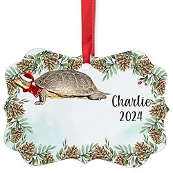 Blanding's Turtle Christmas Ornament 2024