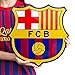 FC Barcelona soccer crest shield acrylic to hang on wall with stand same as on Messi Neymar Barcelona jersey