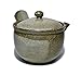 Shigaraki Pottery Kyusu Teapot Yunomi Set Tsuchi no Oto Earth Color(Japan Import)