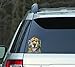 Enjoy It Dean Russo Golden Retriever Car Stickers, Outdoor Rated Vinyl Sticker Decals for Windows, Bumpers, Laptops or Crafts - 2 Pieces