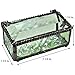 J Devlin Glass Art Box 178 Series Stained Glass Decorative Dragonfly Box for Trinket, Keepsake, or Jewelry - Available in Clear or Sage Green (Sage Green)