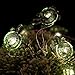 WSgift Turtle Decorative String Lights 13 Ft 40 LED Weatherproof Battery Operated 8 Modes Turtle Fairy Lights for Holiday Weddings Bedrooms Party Decorations with Remote and Timer (Warm White)