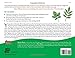 Treecology: 30 Activities and Observations for Exploring the World of Trees and Forests (Young Naturalists)