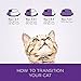 Wellness Complete Health Natural Dry Cat Food, Kitten Health Recipe, 5.9-Pound Bag