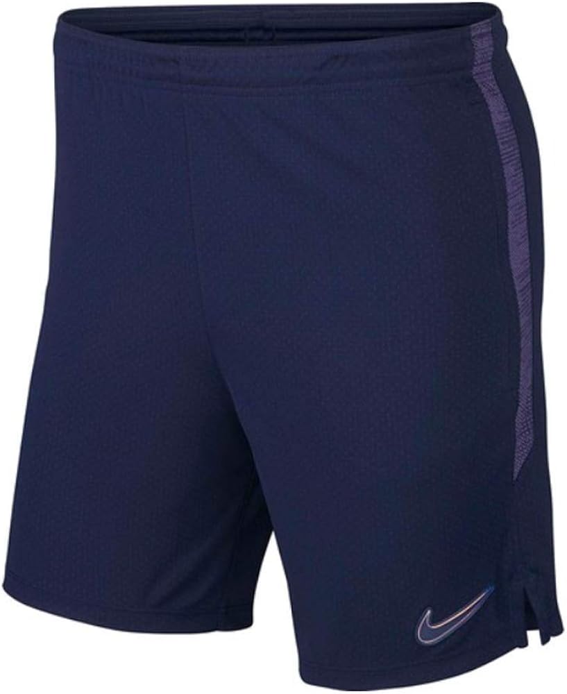Nike 2019-2020 Tottenham Training Shorts (Navy)