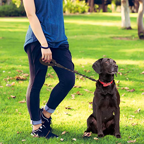 voopet 2 Feet Nylon Dog Leash, Strong Leash with Highly Reflective Threads for Medium Large Heavy Duty Dog Leads, Easy Control with Short Dog Leash for Climbing Training Walking and Guiding Blind