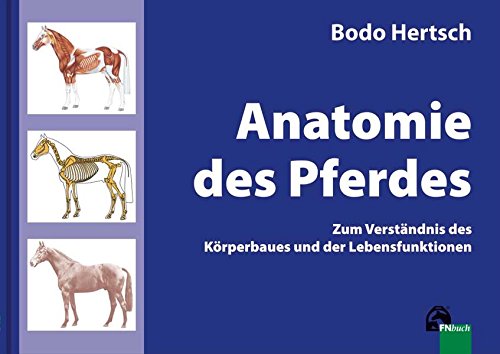Anatomie Des Pferdes Zum Verstandnis Des Korperbaues Und Der Lebensfunktionen Hertsch Bodo 9783885427575 Amazon Com Books