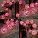 NYKKOLA 20 LED Battery Operated String Flower Rose Fairy Light Wedding Room Garden Christmass Decor (Pink)
