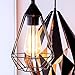 Attican Edison Light Bulb, 6-Pack Antique Vintage Style, Dimmable (60w/110v)