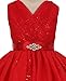 Little Girls Glitter V Neck Rhinestone Pin Special Flowers Girls Dresses
