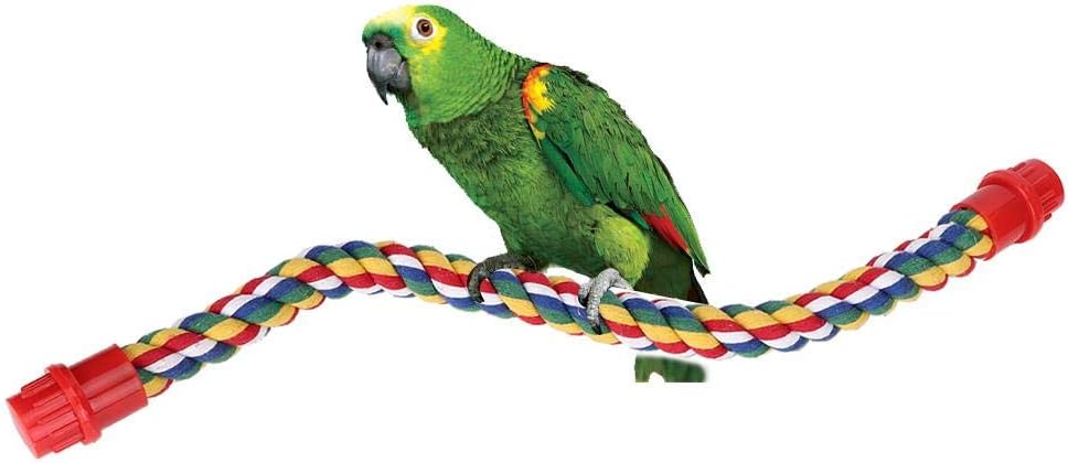 parrot swing