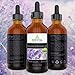 Lavender Oil (Kashmir) - Therapeutic Grade 31% Linalool and 34% Linalyl Acetate - 1 fl oz with Glass Dropper - Premium Select from Essential Oil Labs