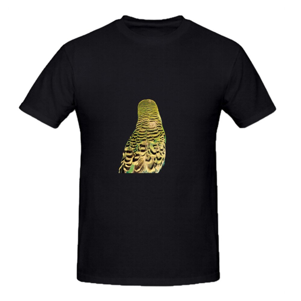 Andrew Bird Armchair Apocrypha Short Sleeve Crew Neck T-shirt