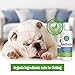 Fifth & Fido Dog Paw Balm - Lick Safe Moisturizing Paw & Dog Nose Balm - 4 Fl Oz, Ivory
