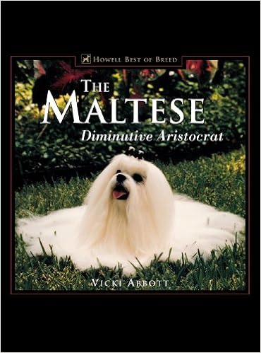 The Maltese: Diminutive Aristocrat (Howell Best of Breed) �n�[�h�J�o�[  - 2000/5/29