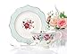 Jusalpha® Vintage Rose Bone China Teacup Spoon and Saucer Set/Coffee Cup with Saucer (TCS08 Blue)