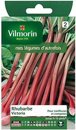 Vilmorin - Paquete Semillas Ruibarbo Victoria: Amazon.es: Jardín