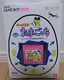 ピンクのたまごっちセット