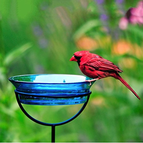 Mosaic Birds Cuban Garden Stake Bird Bath Feeder Birdseed Mealworm G465VM Recycled Glass Bowl Container with Adjustable Height Stake - Clear