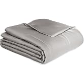 THXSILK 100% Mulberry Silk Filled Cooling Blanket, Tencel Shell Comforter | Lightweight Cooling Bedding, Quilted Blanket, Soft And Breathable, Queen 90 x 90 in, Grey, OEKO-TEX STANDARD 100 Certified