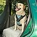 Bergan Dog Auto Harness with Tether, Large