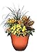 Classic Home and Garden Indoor/Outdoor Round Honeysuckle Resin Flower Pot Planter, Orange Ember, 13