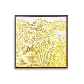 Framed Golden Abstract Annual Rings Home Artwork for...