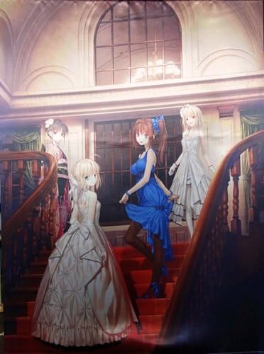 Amazon Co Jp Type A Moon Fes Taipumu Nfesu Key Visual Super Large Tapestry Seiba Both Ritual The Princess Of The Moon Magister Negi Emblem Blue Child 武内 Empress Koyama Hiroka Not Fate Stay Night