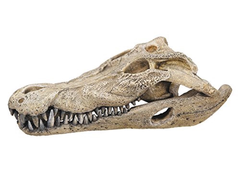 Nobby Crocodile Skull Aquarium Ornaments, 26 x 14 x 9 cm
