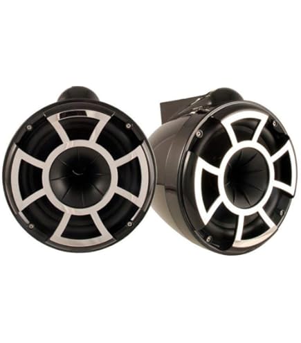 Amazon.com: wet sounds REV 10 W-SXM V2 Revolution Series 10