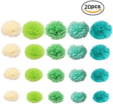 20 pcs Colored Tissue Hanging Paper Flower Paper Pom Poms For Birthday Wedding Party Baby Shower Room Nursery Decorations Craft Kit