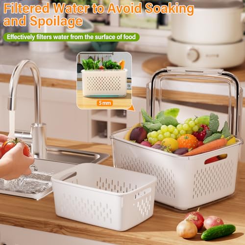 Fruit Storage Containers