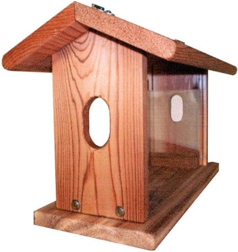 Amazon Com Stovall 11fh Bluebird Feeder With Hanging Chain