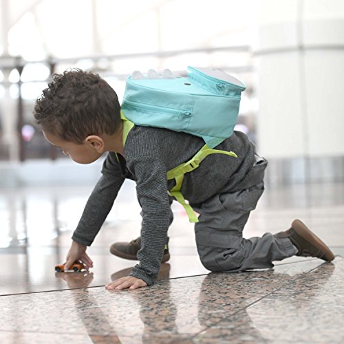 5 Travel+Bug+Dinosaur+Backpack+Removable