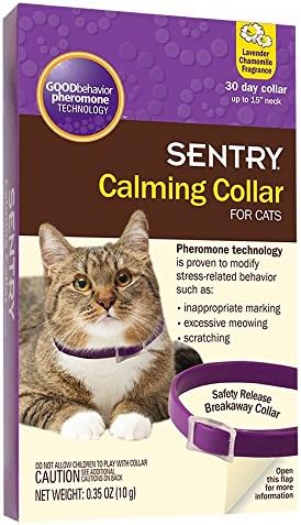 breakaway calming collar for cats