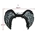 Dazone Black Angel Feather Wings Costume