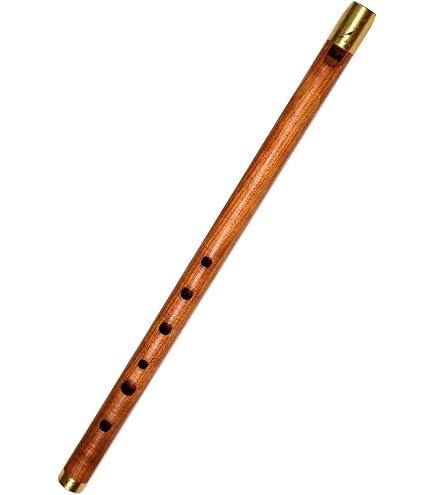 Amazon.com: Wooden Whistle iVolga VD-01 key of D Great Sound Hand