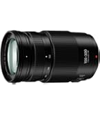 Amazon.com : Panasonic LUMIX G II Vario Lens, 100-300MM