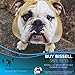 Bissell BARKBATH Portable Dog Bath and Grooming System, 1st Gen, 1844A