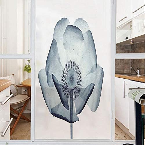 Decorative Window Film,No Glue Frosted Privacy Film,Stained Glass Door Film,Closer Vision of a Poppy Flower Inner Structure of a Complex Nature Stylish Home,for Home & Office,23.6In. by 59In Teal Whit
