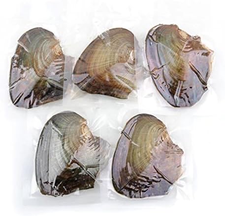 UMaster 5Pcs Freshwater Oyster Shells with Cultured Love Wish Oval Pearls Inside Birthday Gifts,Random Color (7.5--8mm)