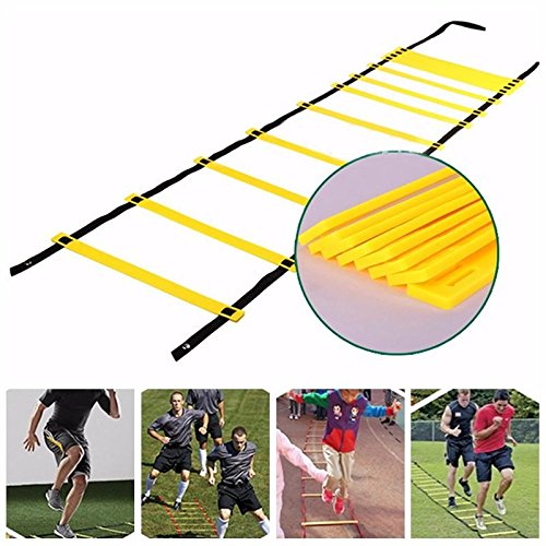 insanity asylum agility ladder