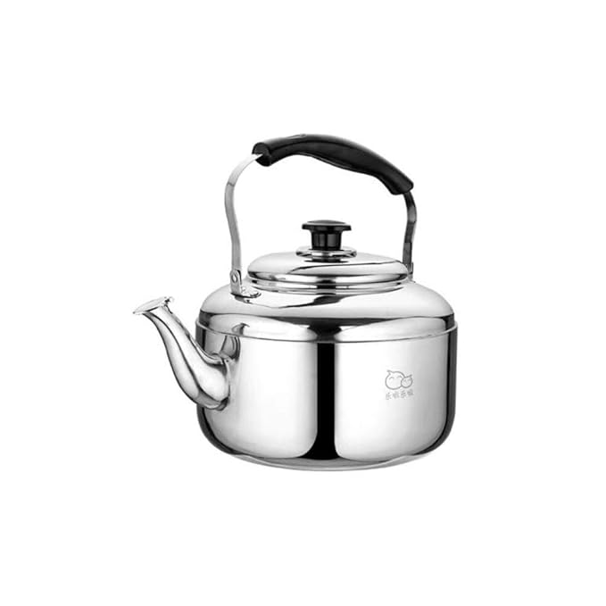 Shengshihuizhong Stainless Steel Kettle, Large Capacity Kettle