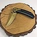 Buckshot Knives Thumb Open Spring Assisted Stainless Steel Handle Filet Pocket Knife (PBK210GD)